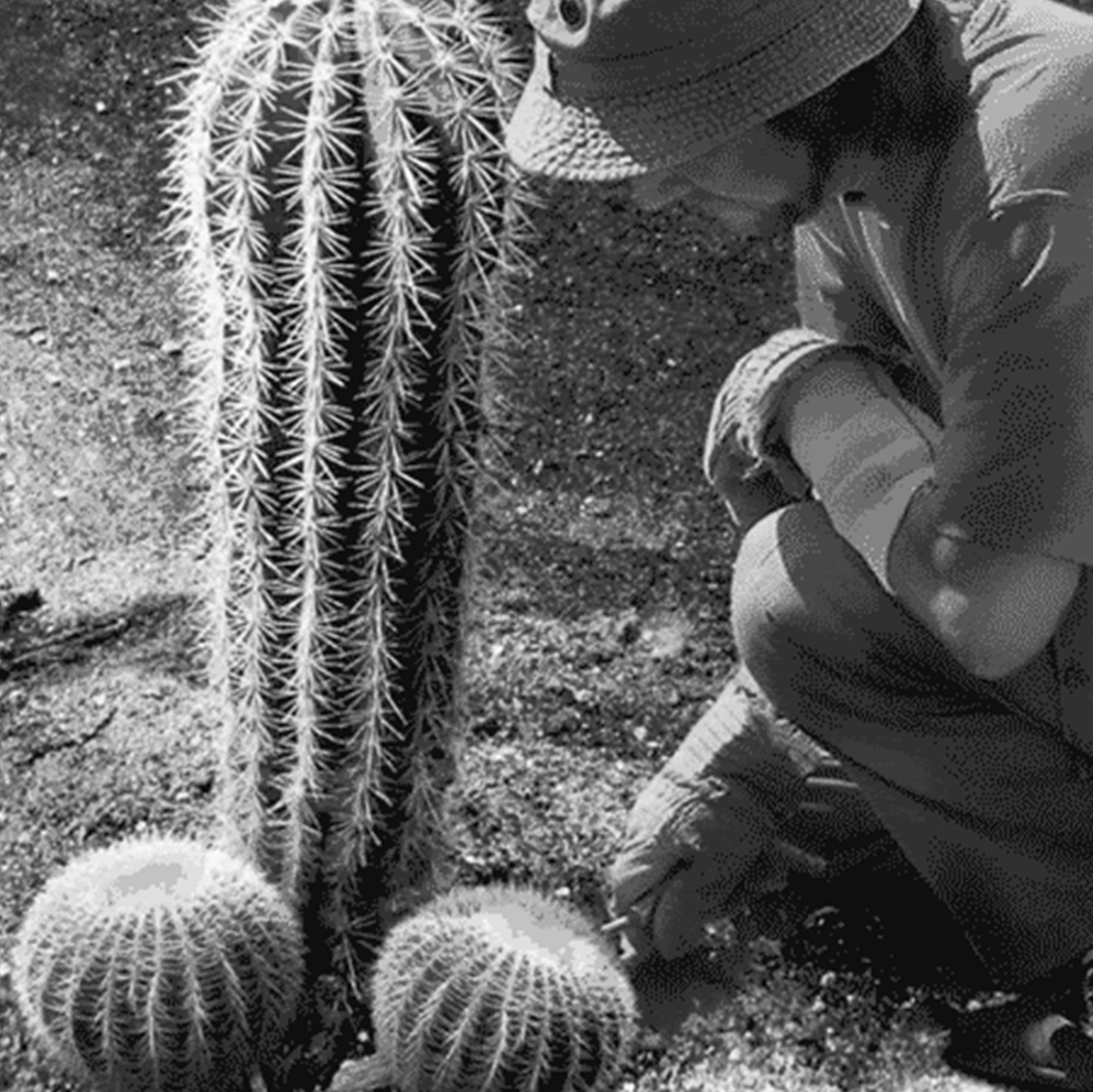 flower ring PENIS CACTUS