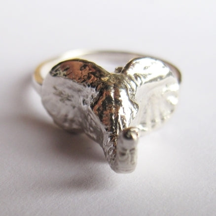 ELEPHANT RING