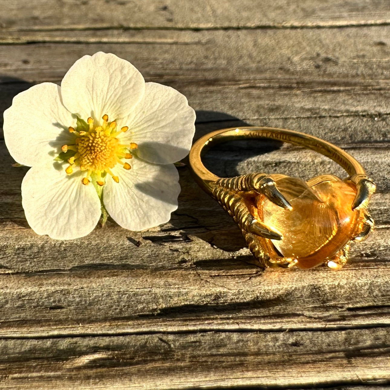 CLAWS ON ZODIAC BIRTHSTONE RING