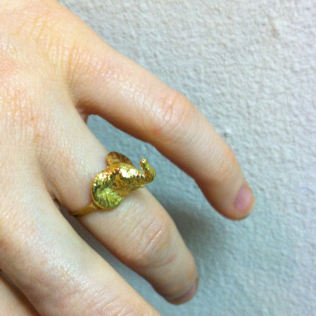 ELEPHANT RING