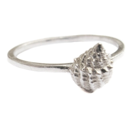 SHELL RING